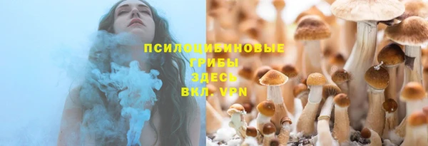 МДПВ Балахна