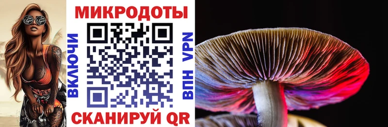 как найти   Кяхта  Галлюциногенные грибы мицелий 